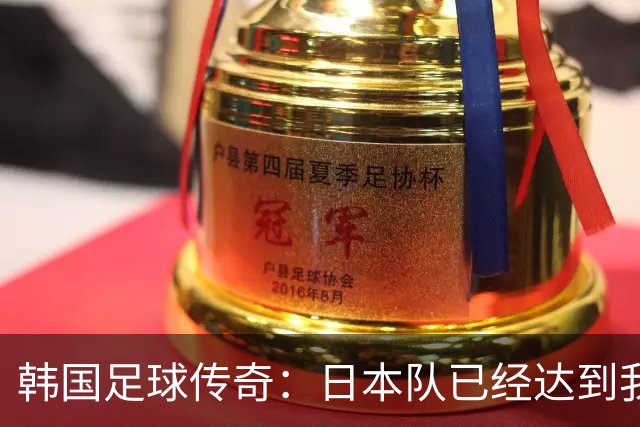 韩国足球传奇：日本队已经达到我们无法企及的水平